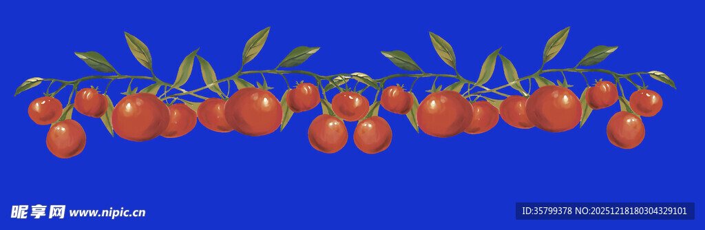 一排鲜艳多汁的小番茄