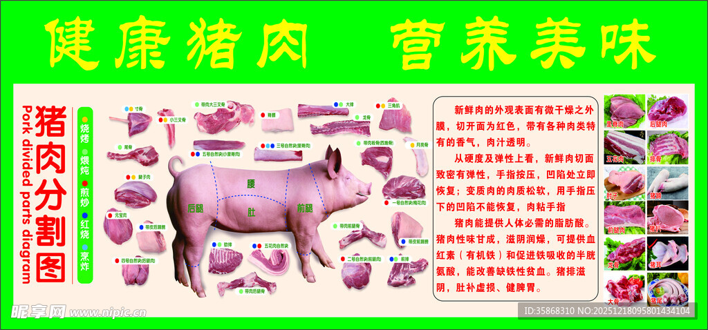猪肉分割图 健康猪肉 营养美味