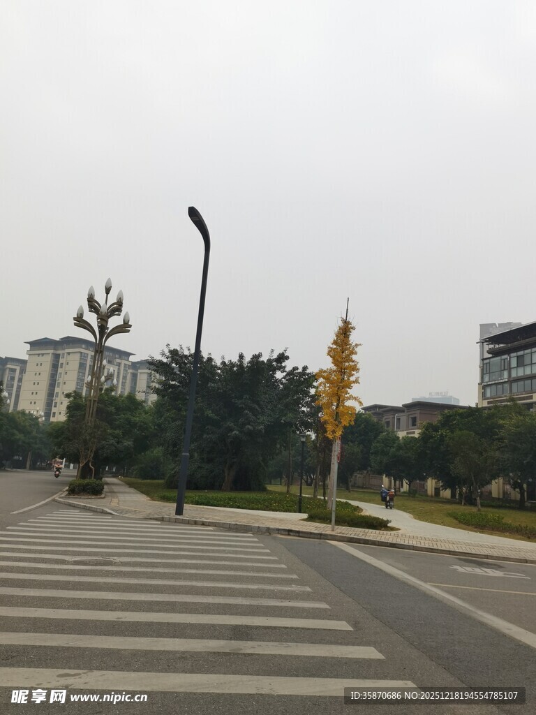 城市道路旁的景观