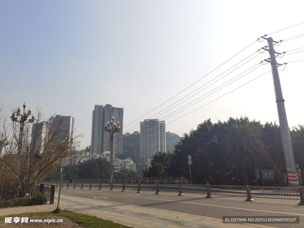 城市道路旁的高楼与绿树