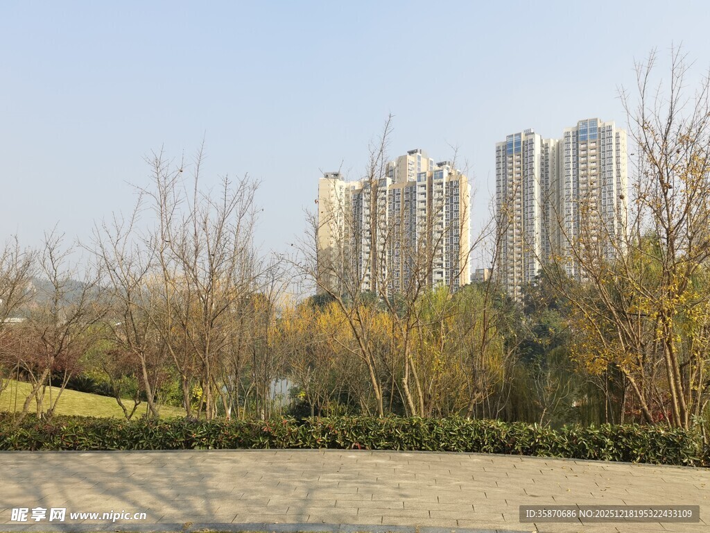 城市公园旁的高楼景观