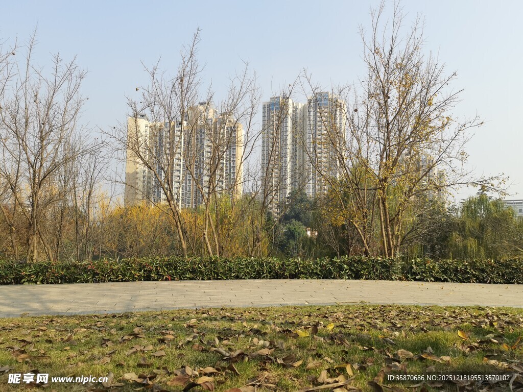 城郊秋景树木与高楼相映