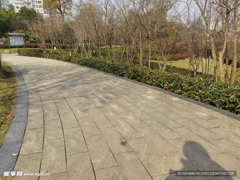 冬日林间蜿蜒砖石小径