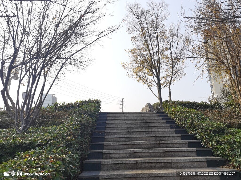 林间石阶静谧之境