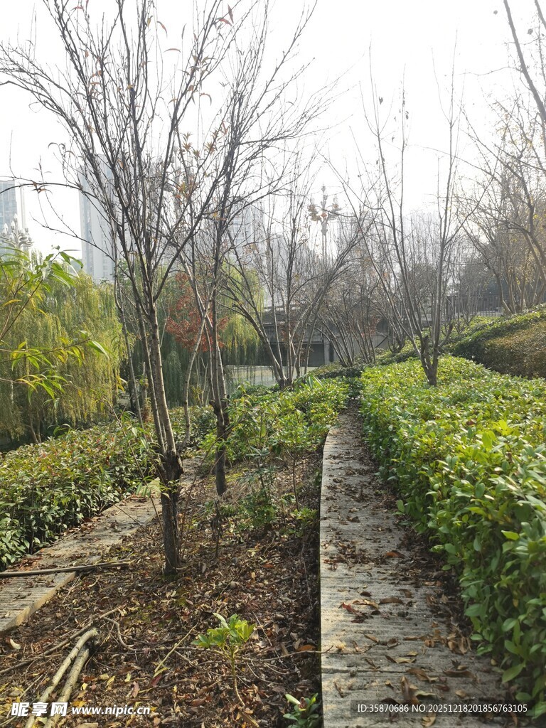 冬日园林景观小径