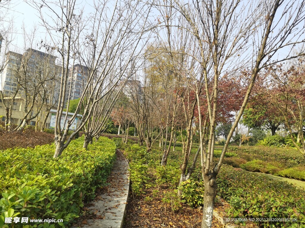 春日园林小径景观