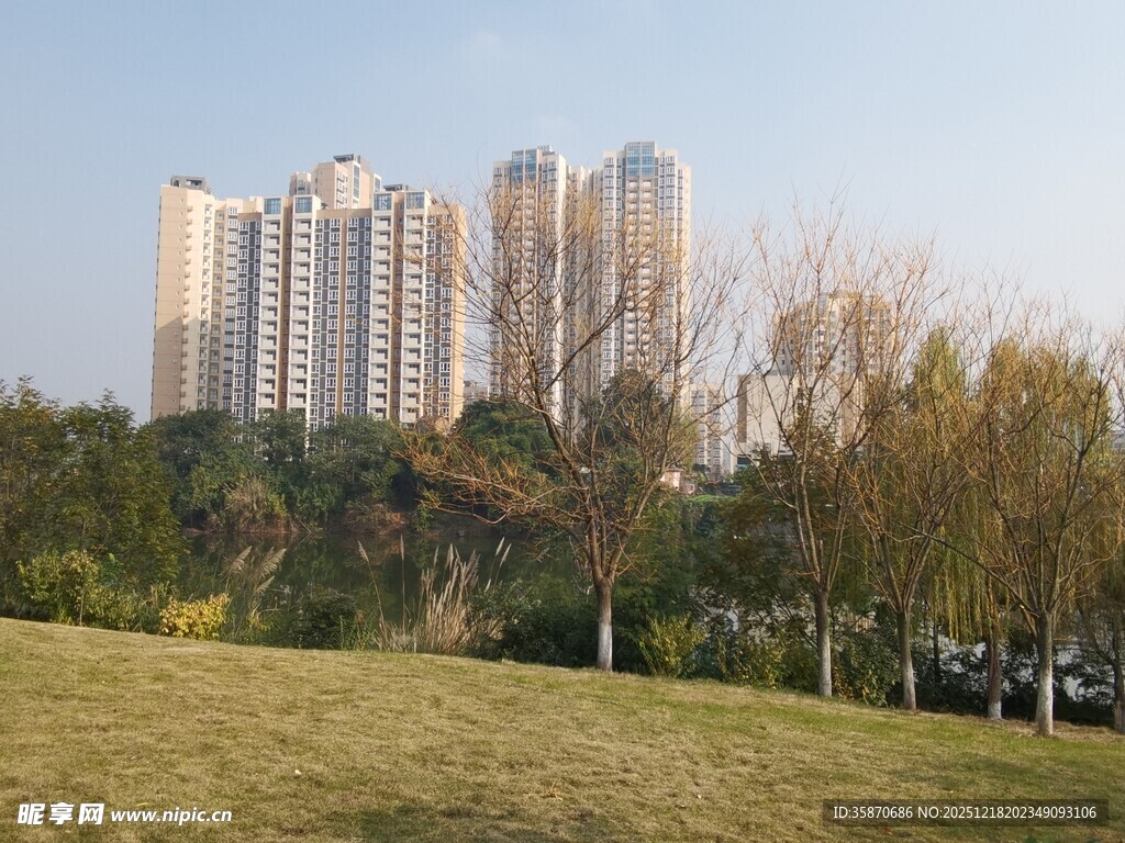 城市公园旁的高楼景观