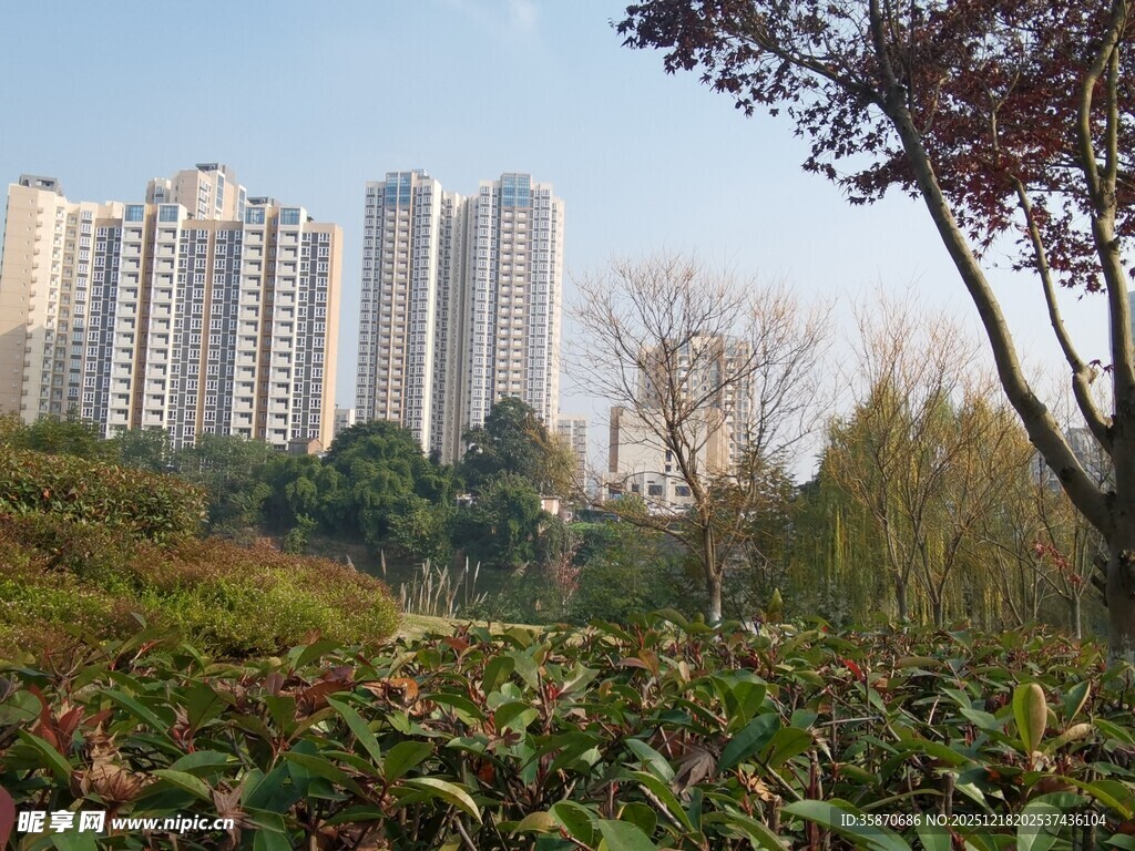 城市旁的绿植景观