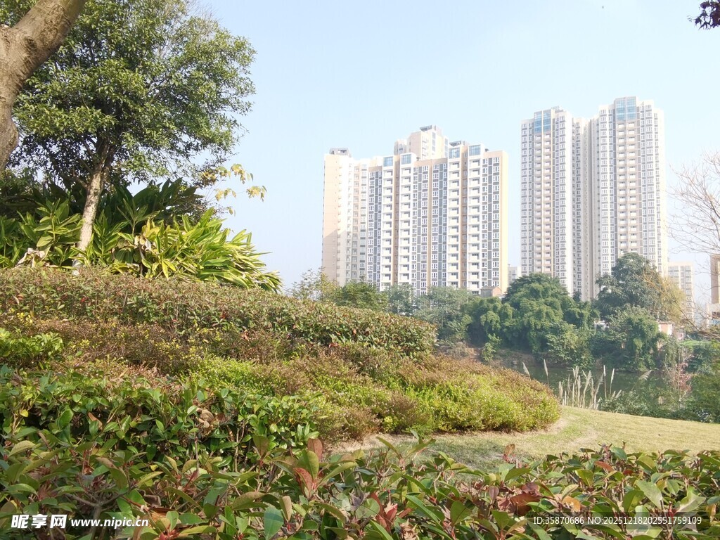 城市旁的绿植景观