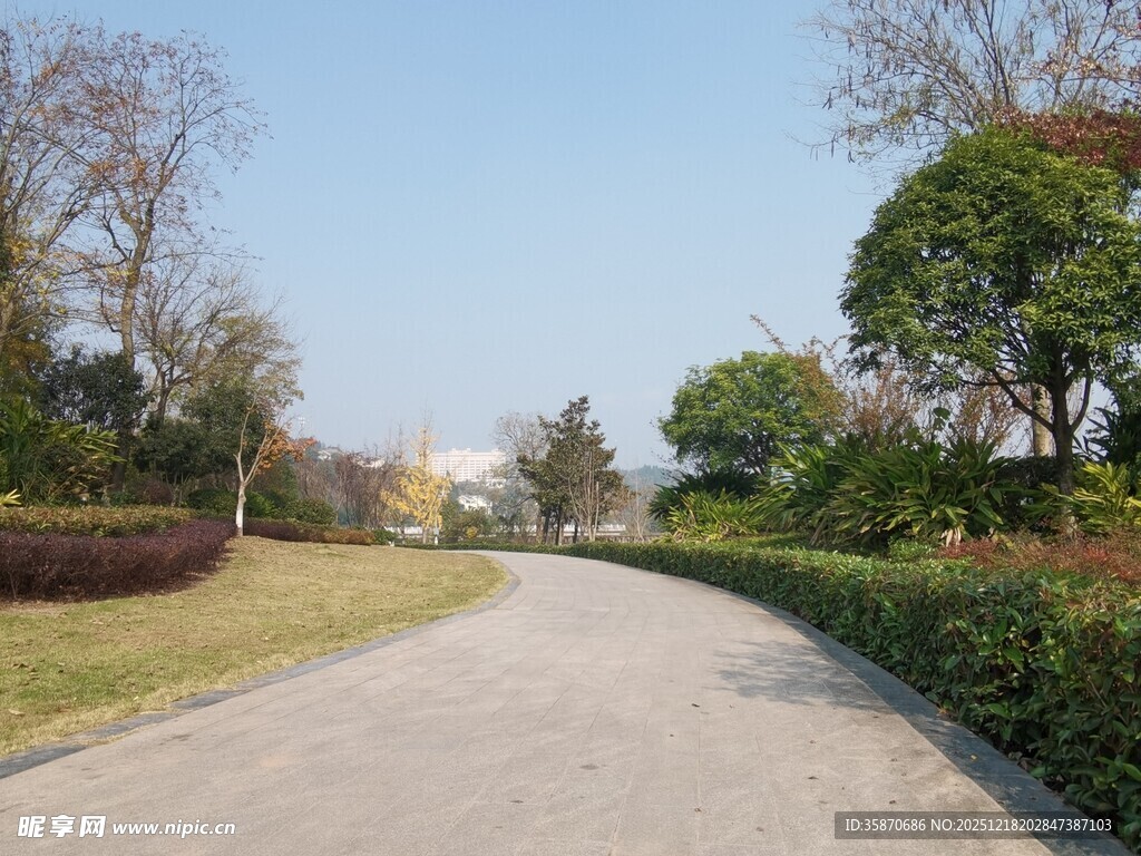 宁静林荫小道景观