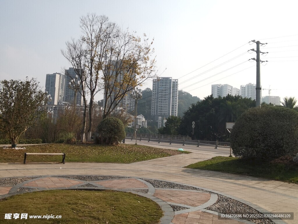 城市公园中的静谧小径