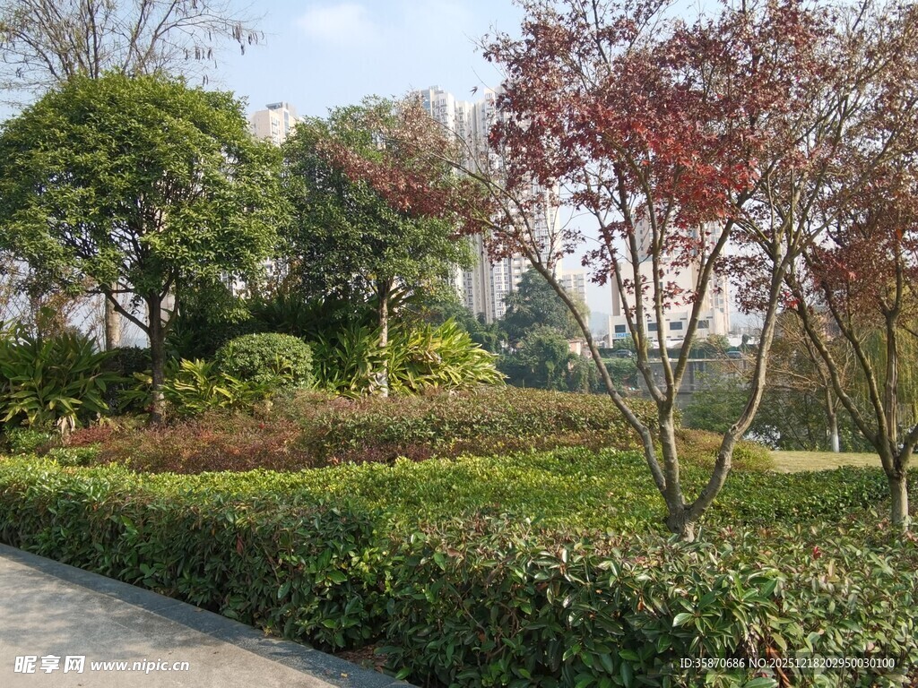 园林景观中的多彩植物