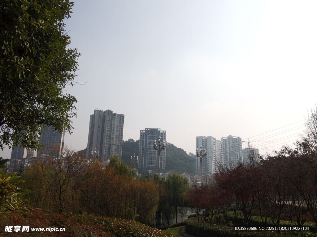 城市秋日公园景致