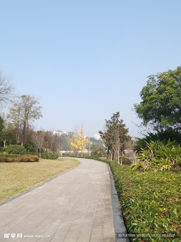 郊外宁静小路绿植环绕