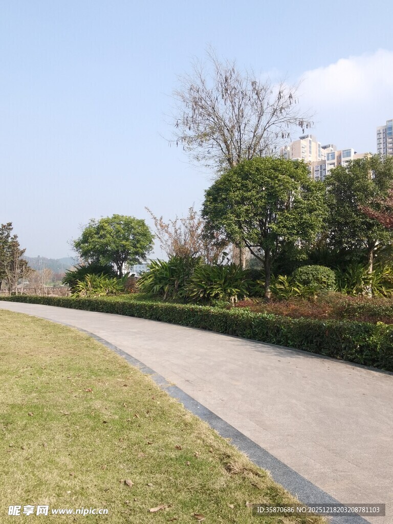 郊外蜿蜒小路的自然景致