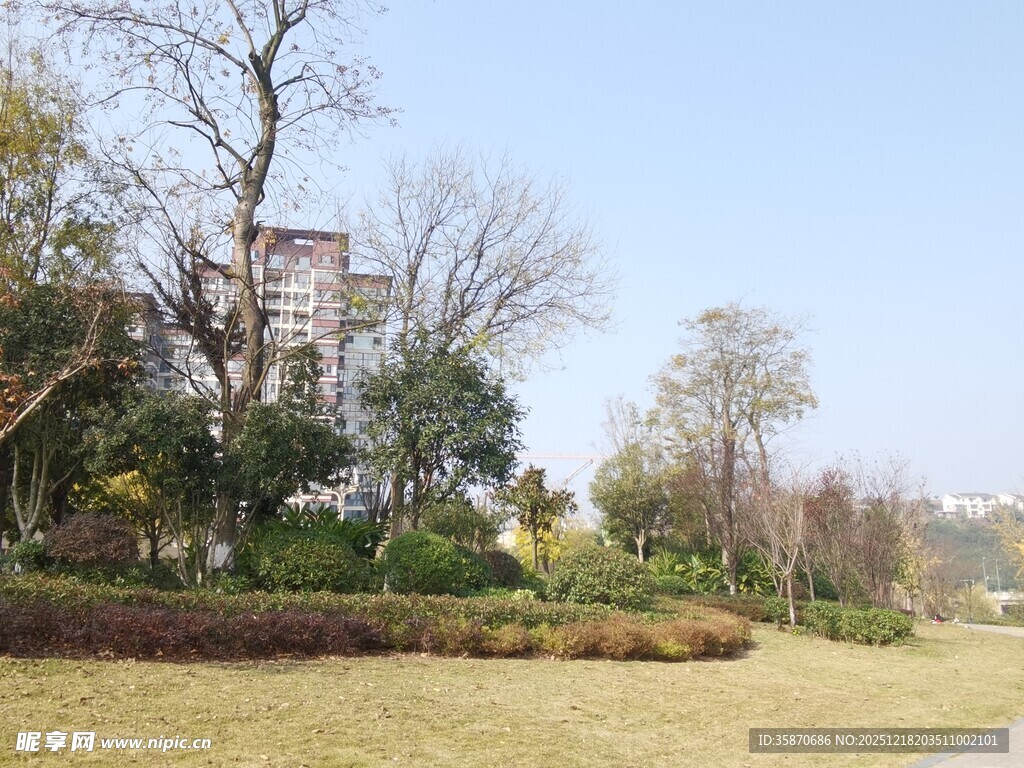 公园中的开阔草地与景观