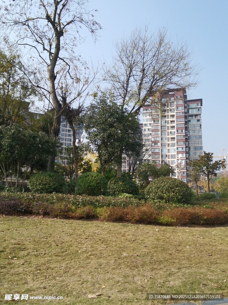 城郊草地旁的高楼景观