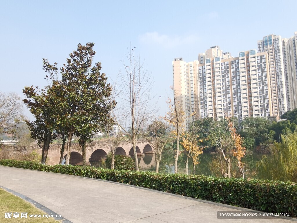 城市公园中的拱桥与高楼