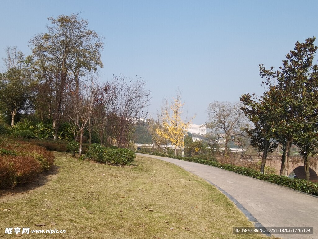 公园中的宁静小路