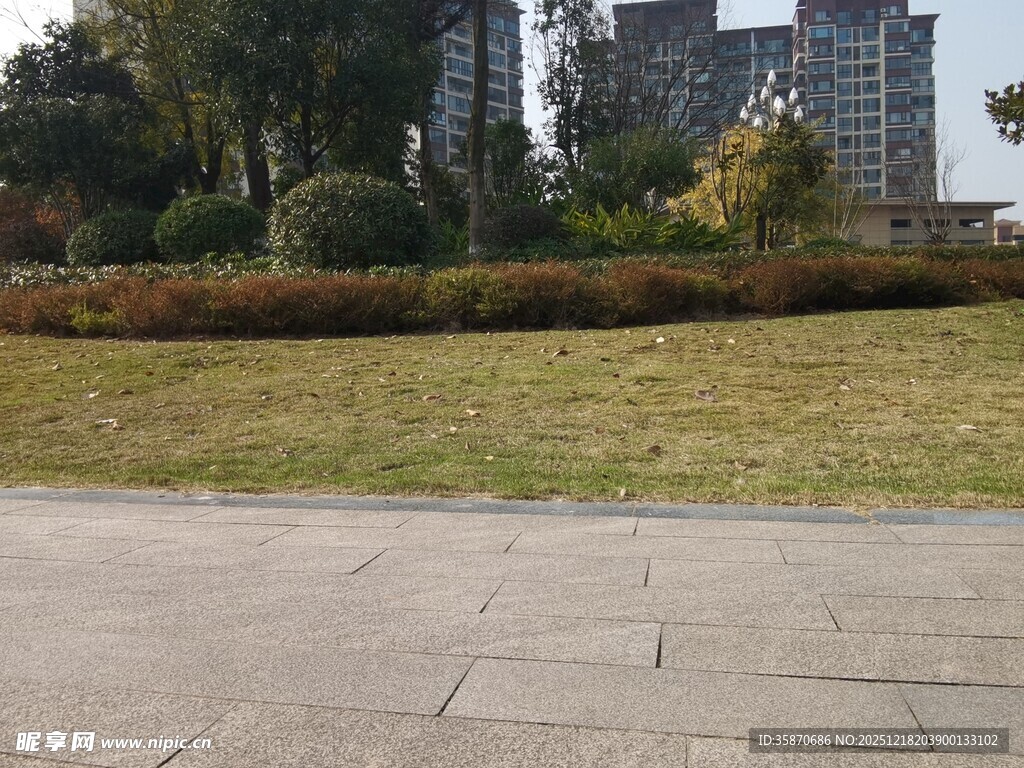 城市中的开阔草地与建筑