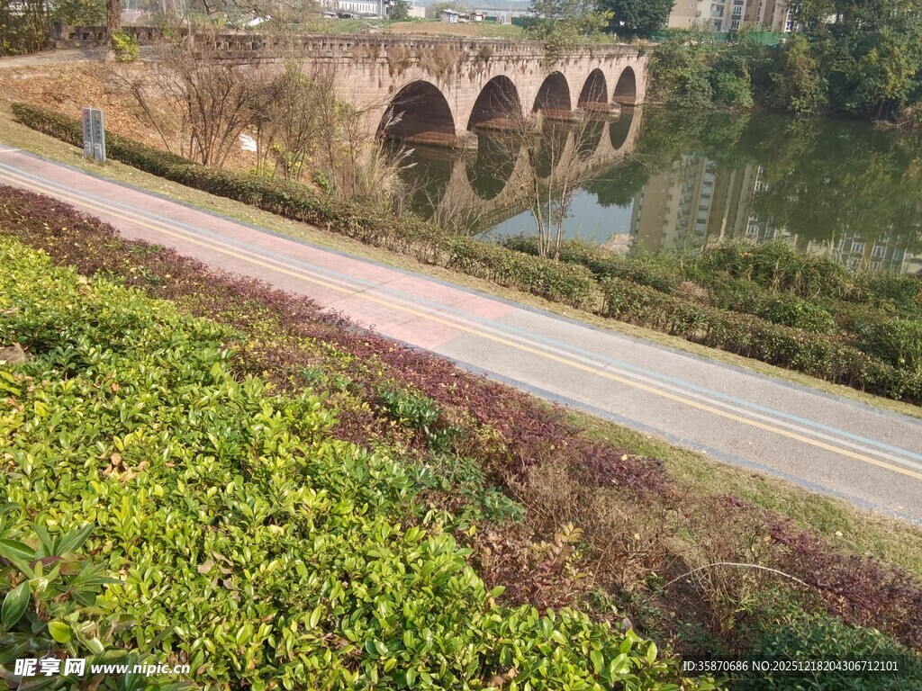 河畔石桥边的葱郁景致