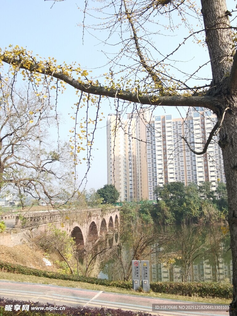 湖畔桥景与高楼相映