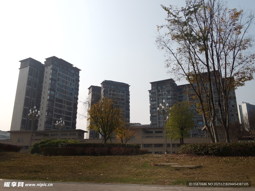 城市建筑与树木景观