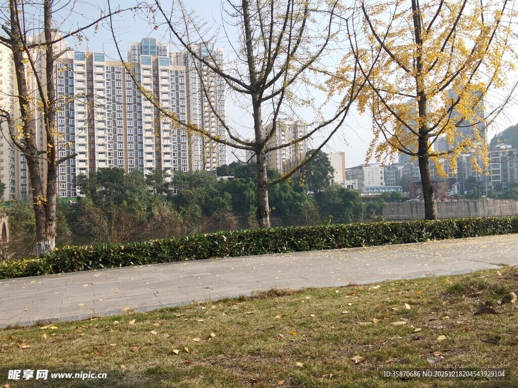 城市公园冬日景观