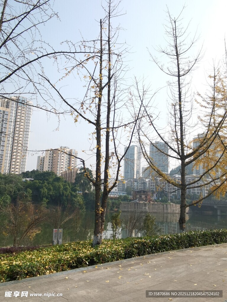 城市公园冬日景致