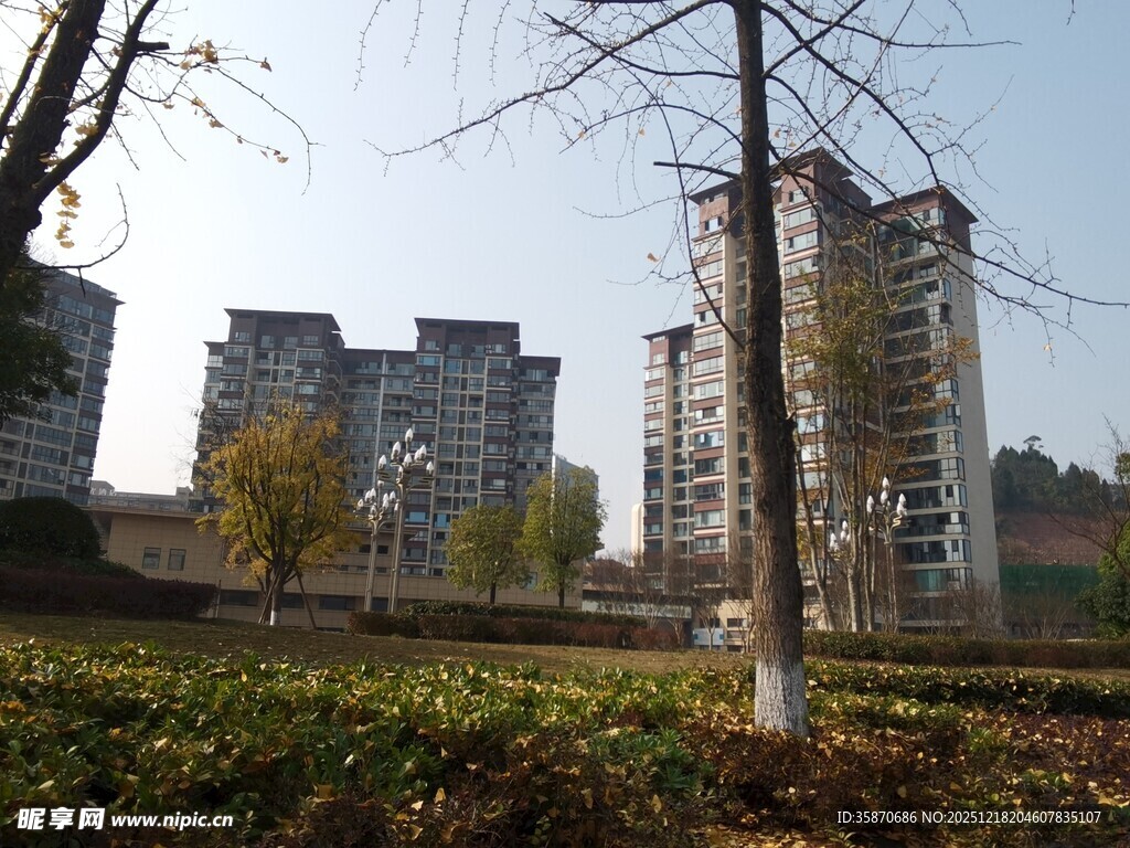 城郊住宅区景观