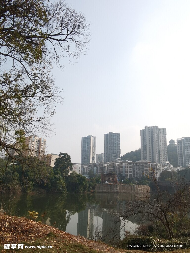 城市河畔风景