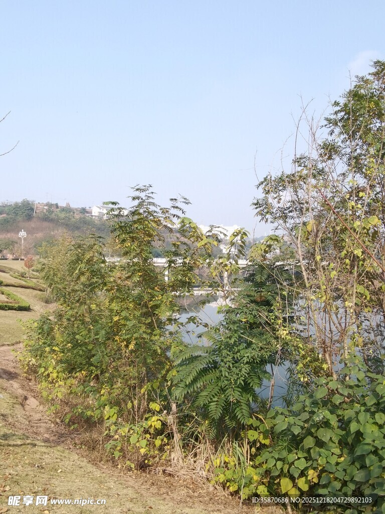 郊外绿意盎然的自然景致