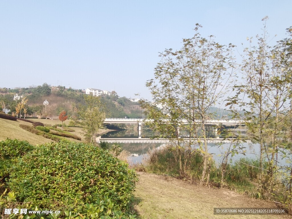 湖畔绿植与远处桥梁风景