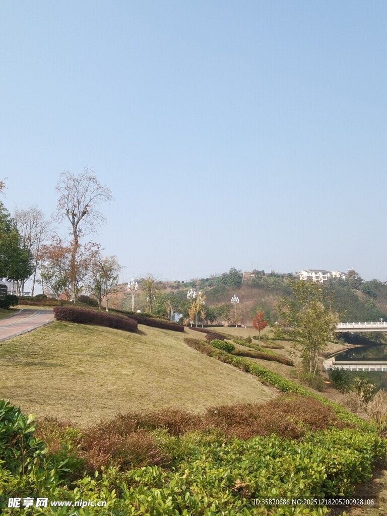 田园风光中的开阔草地