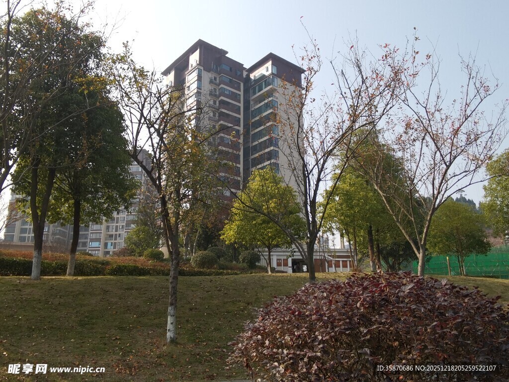 城市公园中的高楼与绿植