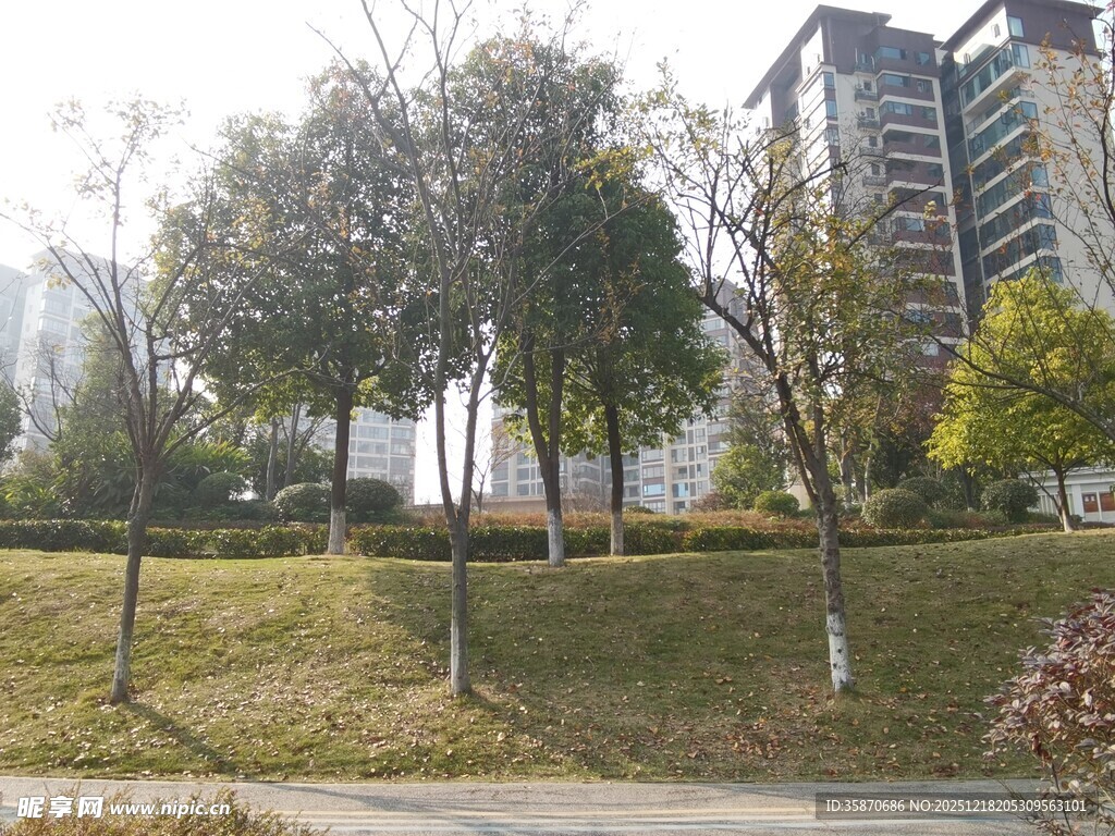 城市中的秋日公园景致