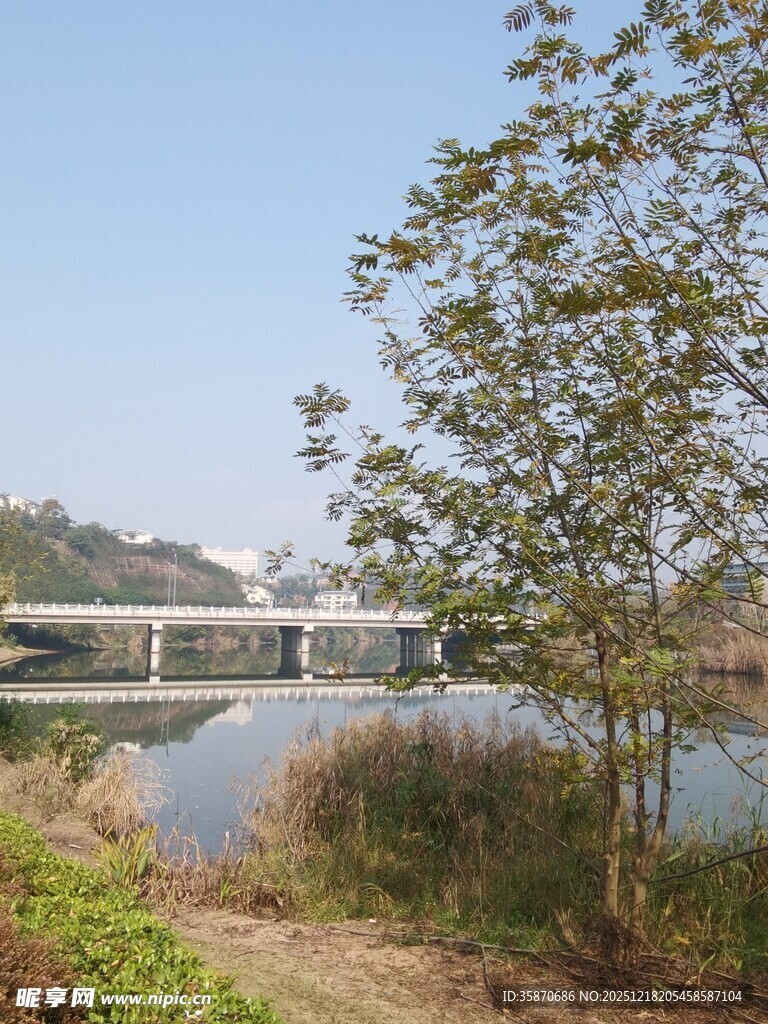湖畔绿树与远处桥梁风景