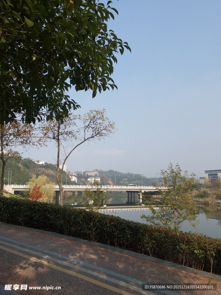 河畔风景绿树相伴的宁静