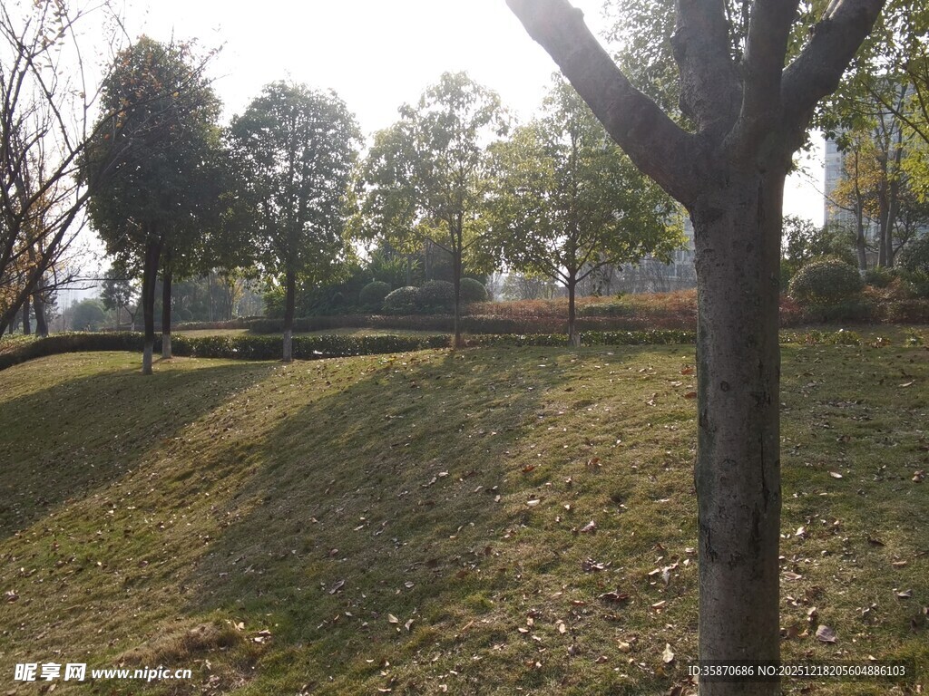 冬日暖阳下的公园景致