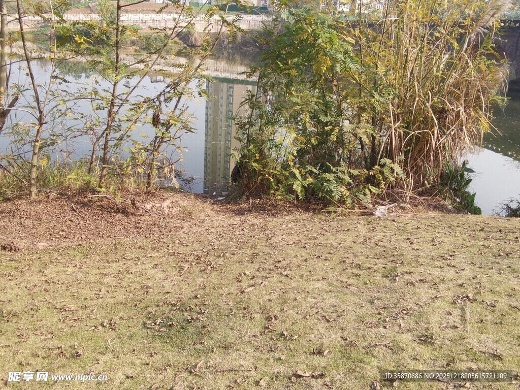 户外草地旁的绿植与水域