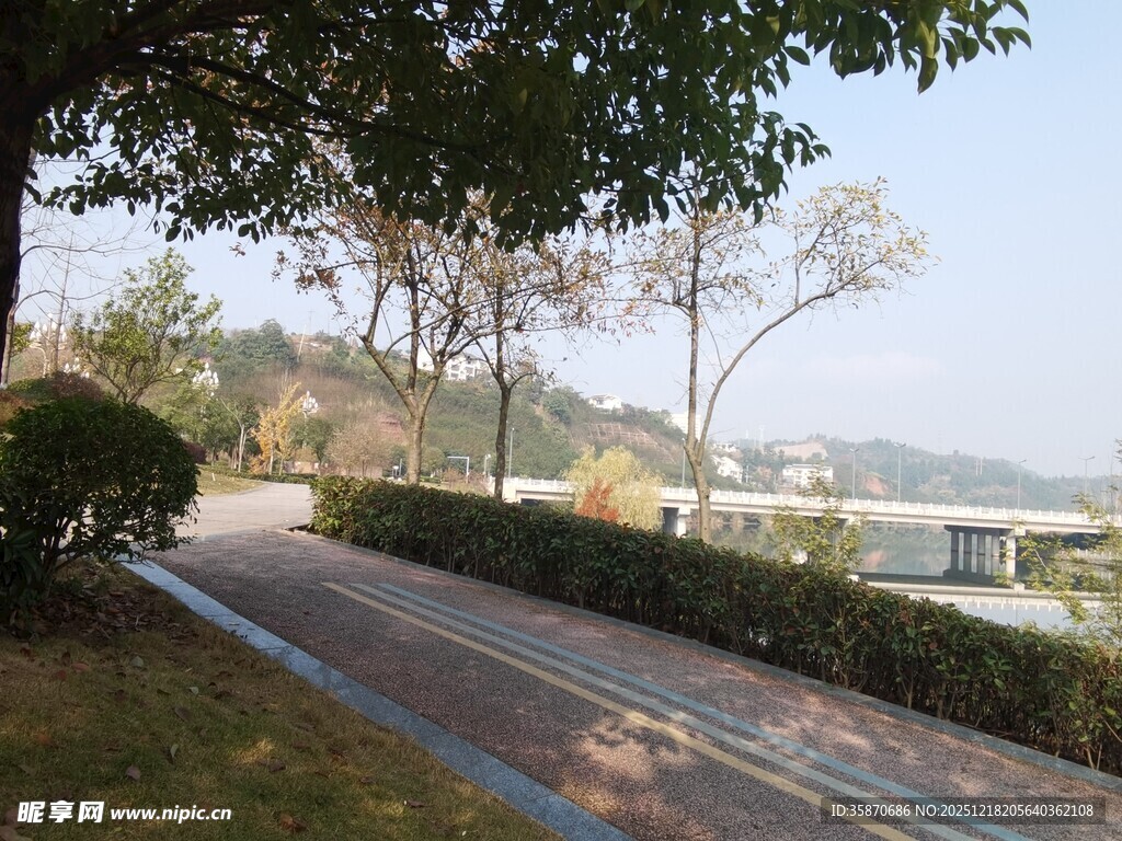 公园中的静谧步道景观