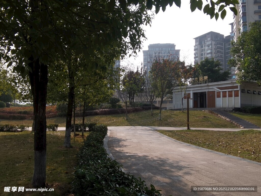 城市公园中的宁静小路