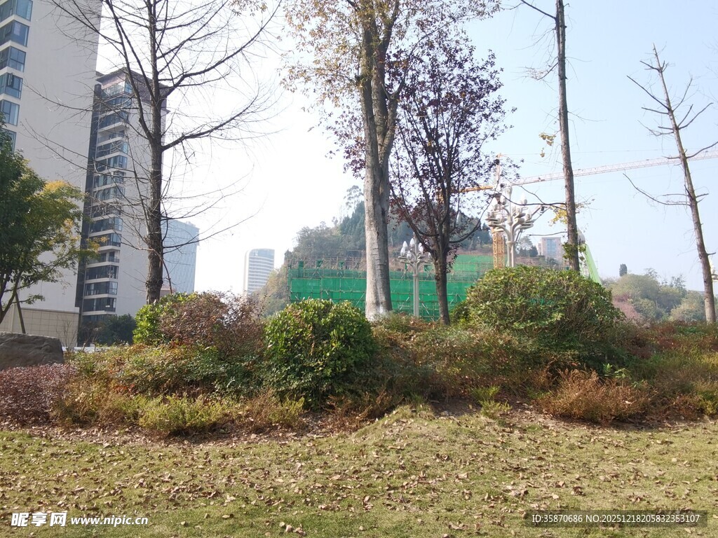 城市中的绿化景观