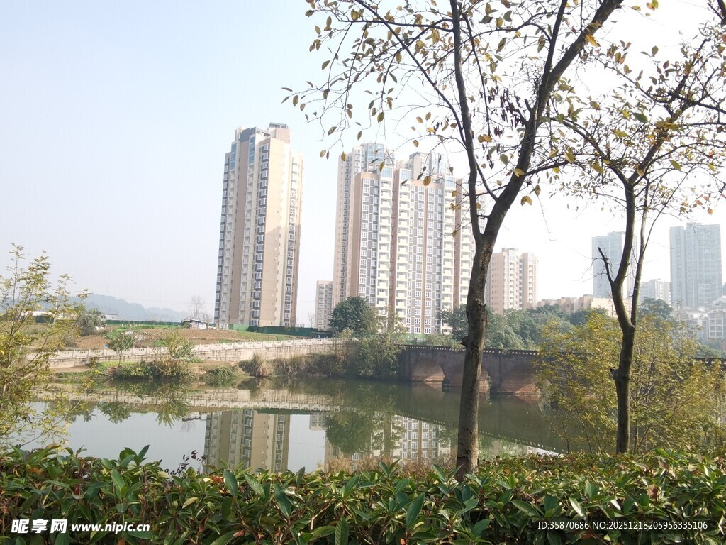 湖畔高楼与树木景致