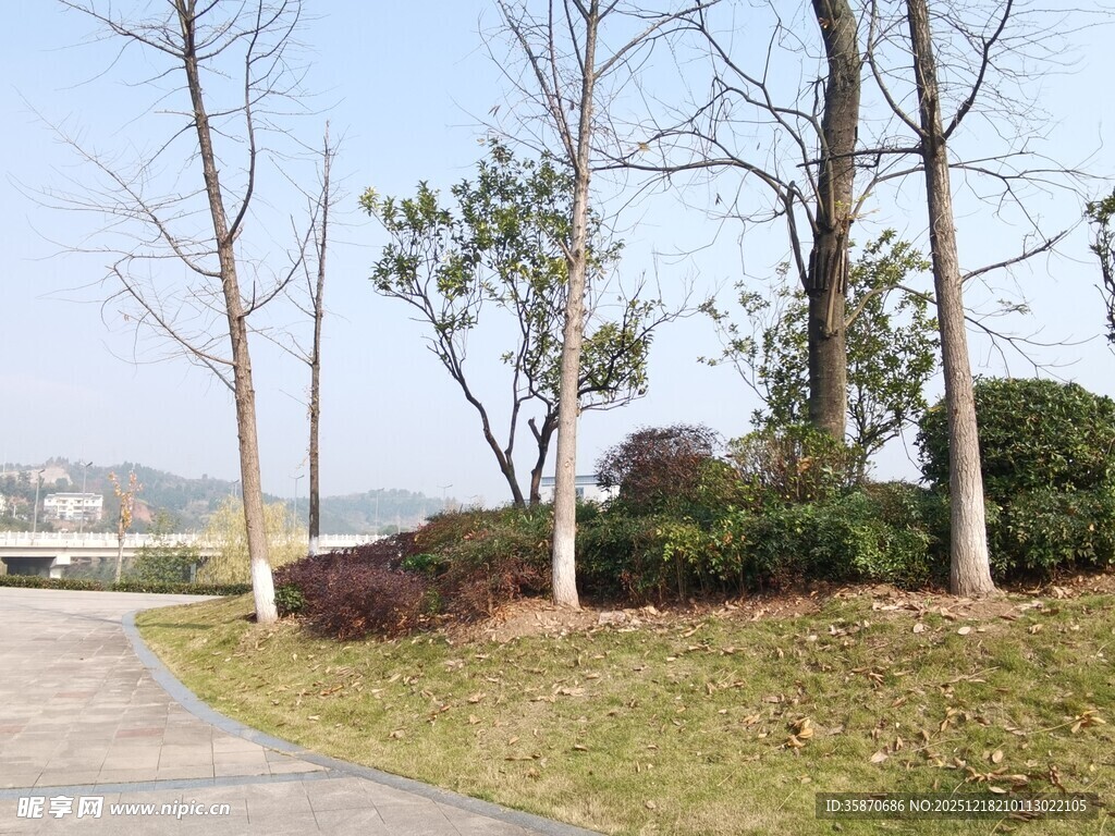 冬日林间小道景色