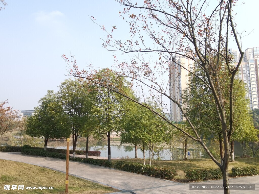 城市公园宁静景致