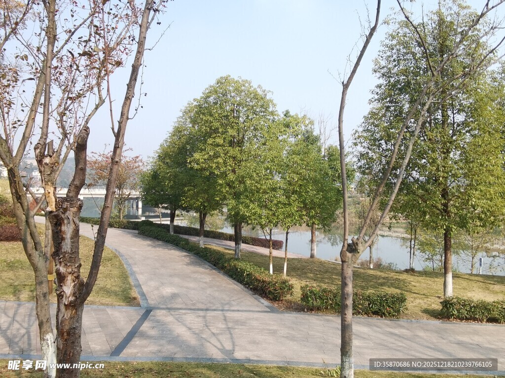 湖畔林荫小道风景