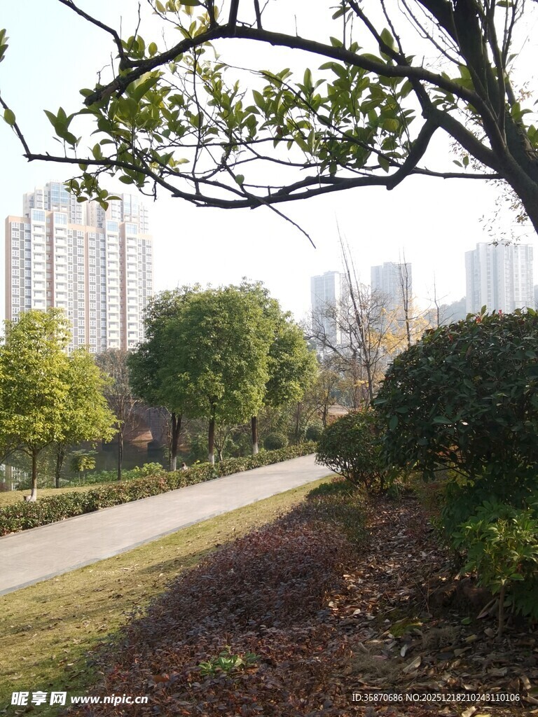 城市公园中的静谧小道