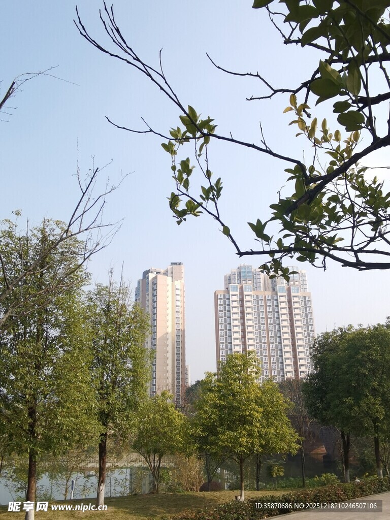 城市公园中的自然景致