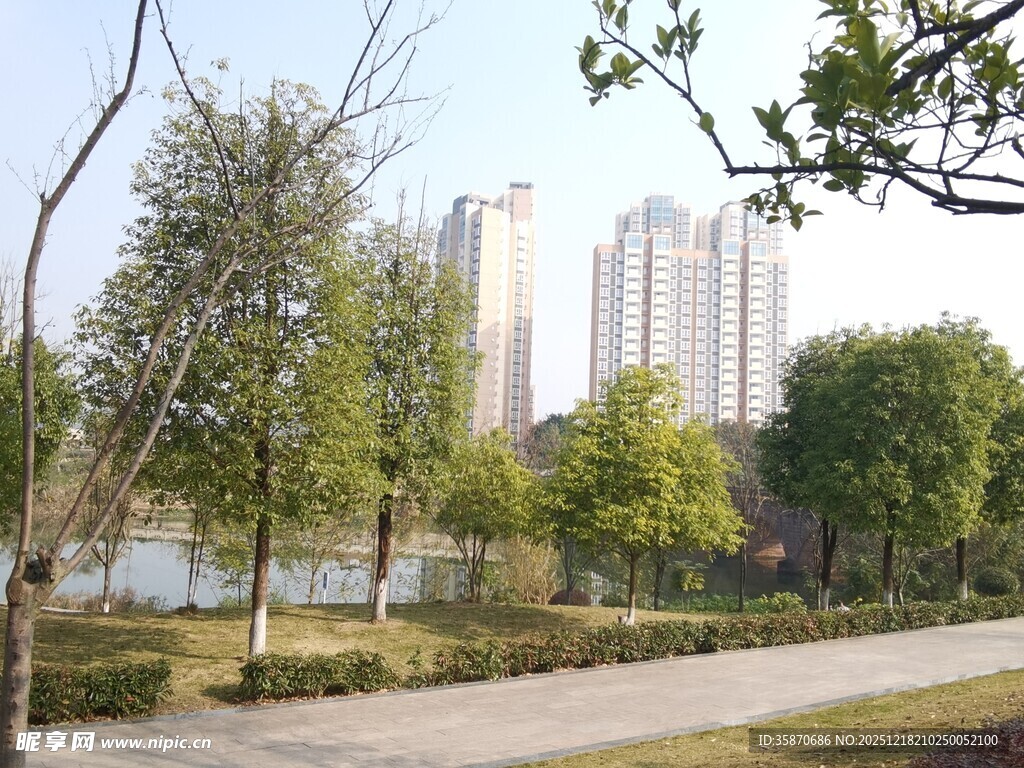 城市公园湖畔风景